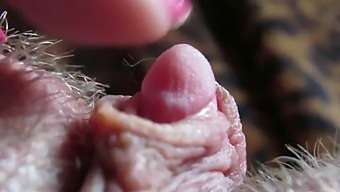 Gros Plan Intense De Ma Tête De Clitoris Énorme Qui Palpite